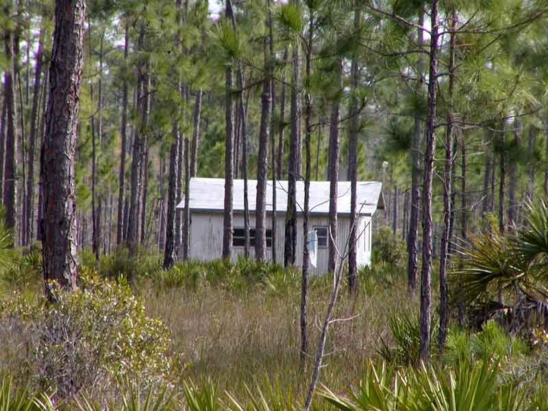 Big Cypress National Preserve Private Backwoods Camps