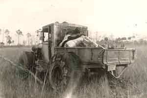 Model A Buggy