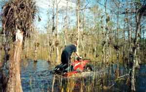 James Whidden on a big red