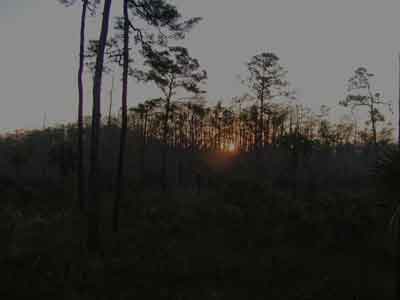 December Sunrise