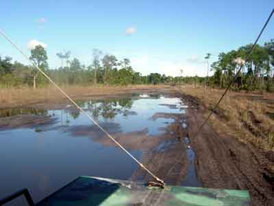 ORV trail in Big Cypress Swamp