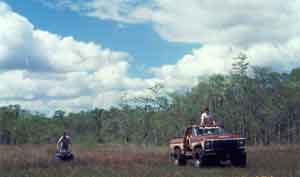 Low Impact use of the Big Cypress Preserve