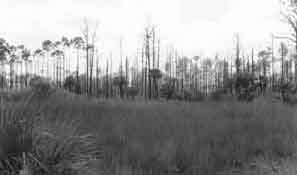 Click for Bigger Picture