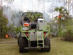Back View of Fire Buggy