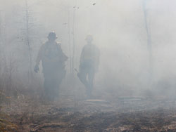 This is why they are called "smoke eaters"