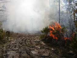 Smoke gets very thick