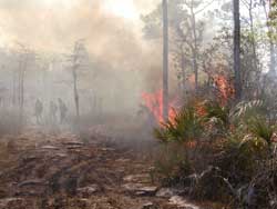 Fire getting intense