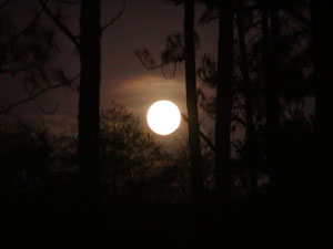 Full Big Cypress Moon