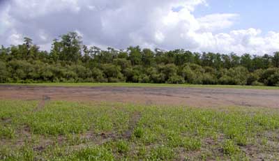 Mud Lake during drought of May 2009