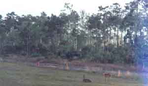 Click for Bigger Picture