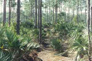 Click for Bigger Picture