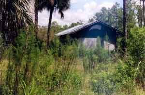 Calvin's Main Sleeping Quarters