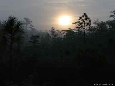 Big Cypress Early Turkey Hunt Sunrise