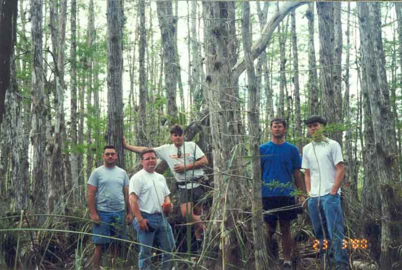 Whidden Group in a Cypress Dome