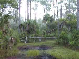 Entrance to Camp Six Pack