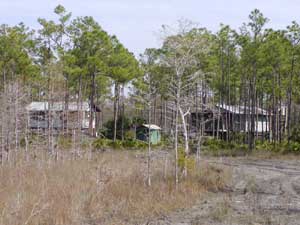 Gresham Camp on Stilts