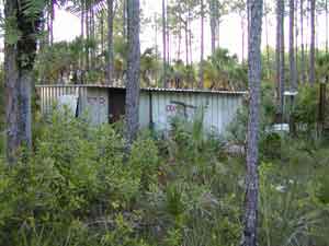 Little Tin Camp near Six Pack- click for larger picture